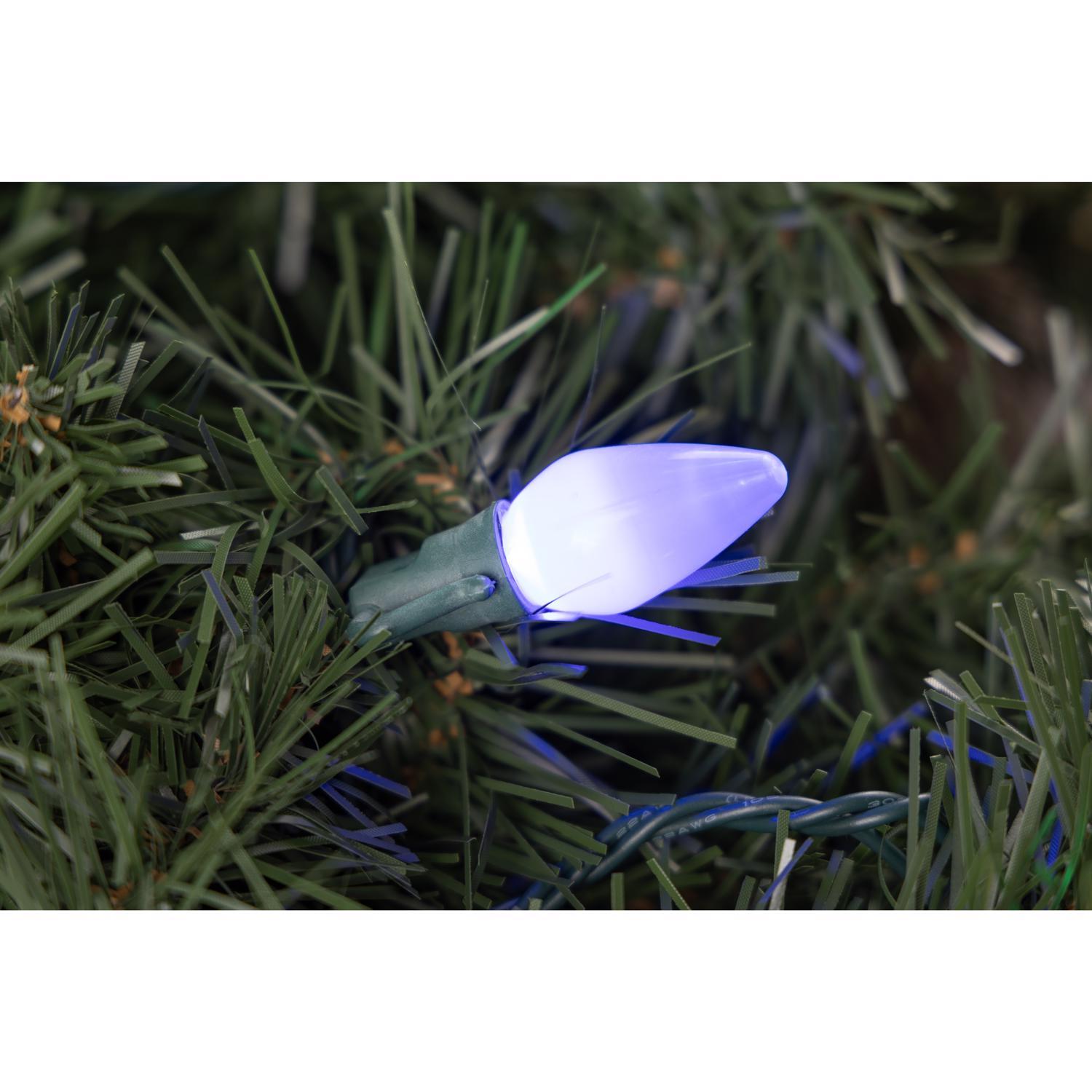 Celebrations Platinum LED C7 Multicolored 50 ct String Christmas