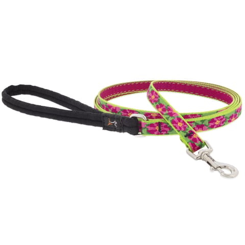 LupinePet Original Multicolored Petunias Nylon Cat Leash Mfr