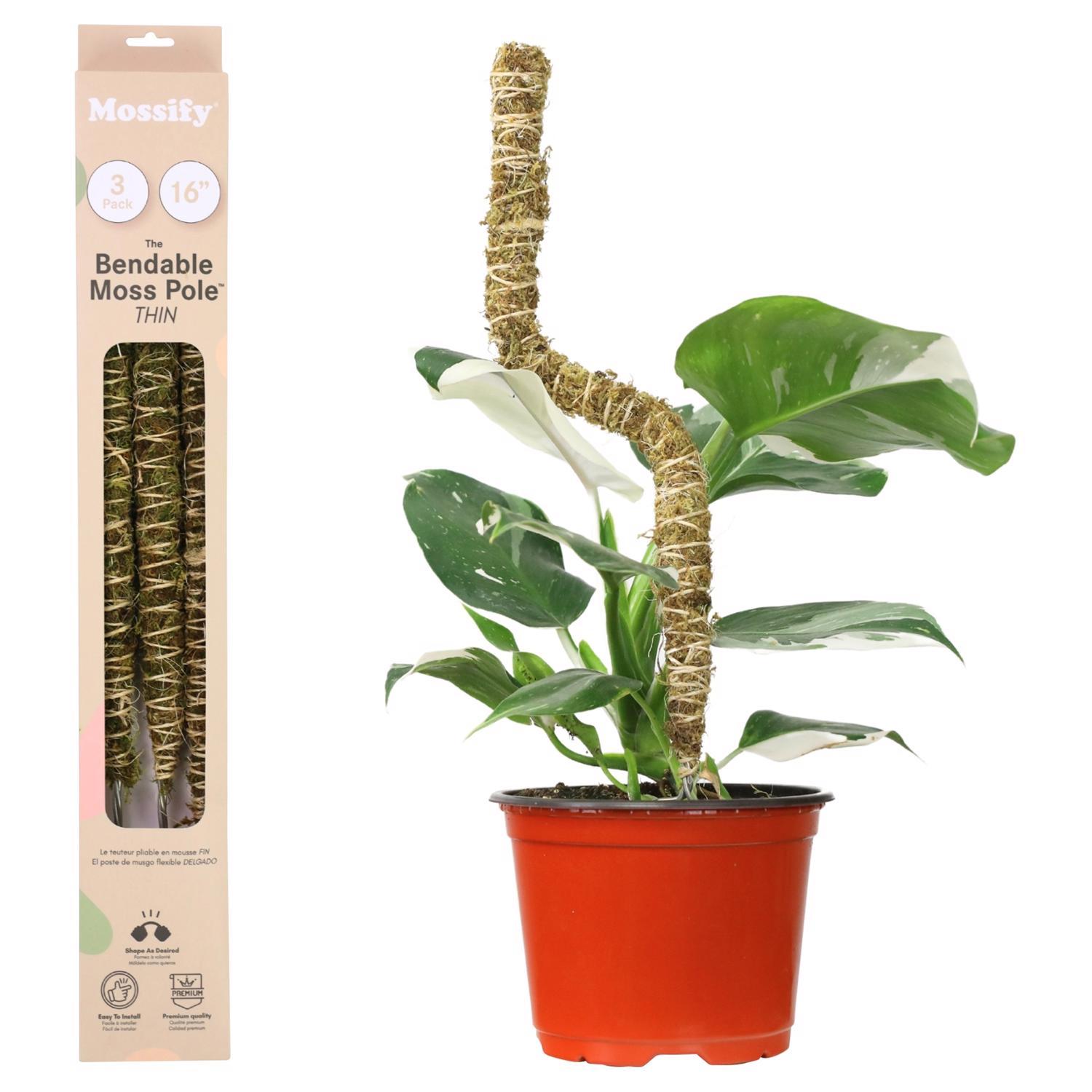 Mossify Bendable Moss Pole 16 in. H Green Moss Pole Mfr# BMPTN