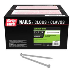 Grip-Rite 40D 5 in. Common Hot-Dipped Galvanized Steel Nail Flat Head 50 lb