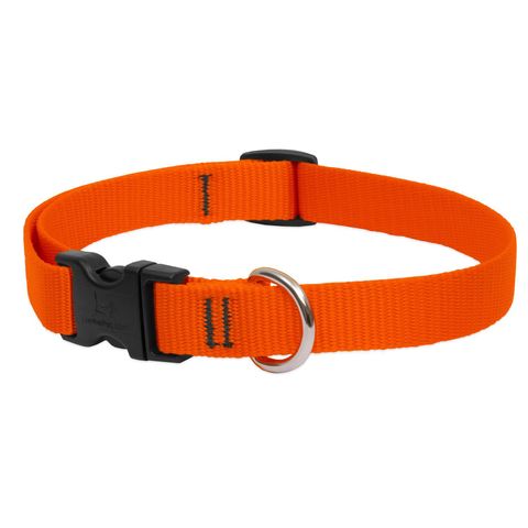LupinePet Basic Solids Blaze Orange Blaze Orange Nylon Dog Adjustable Collar