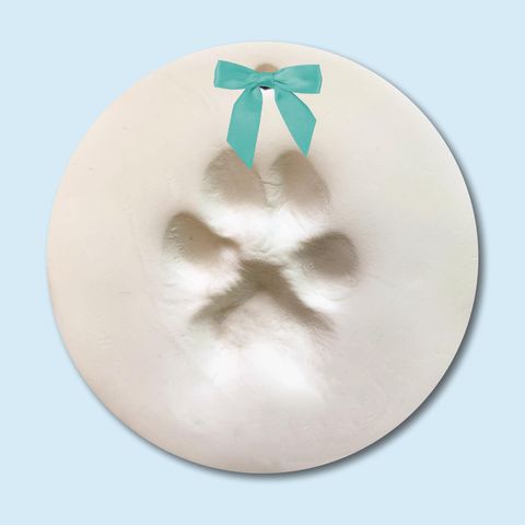 SD Toyz Pet Paw Print Kit 1 pk Mfr# 04990 - Ace Hardware