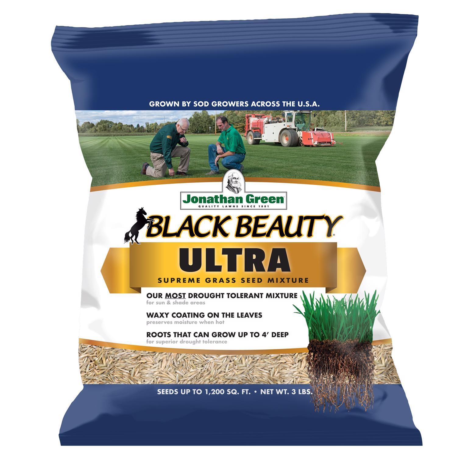 Jonathan Green Black Beauty Ultra All Grasses Sun or Shade Grass Seed 3 lb - Thumbnail 2