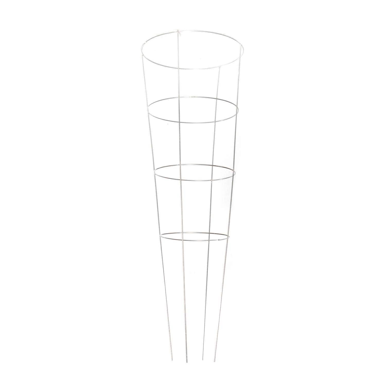 image-2