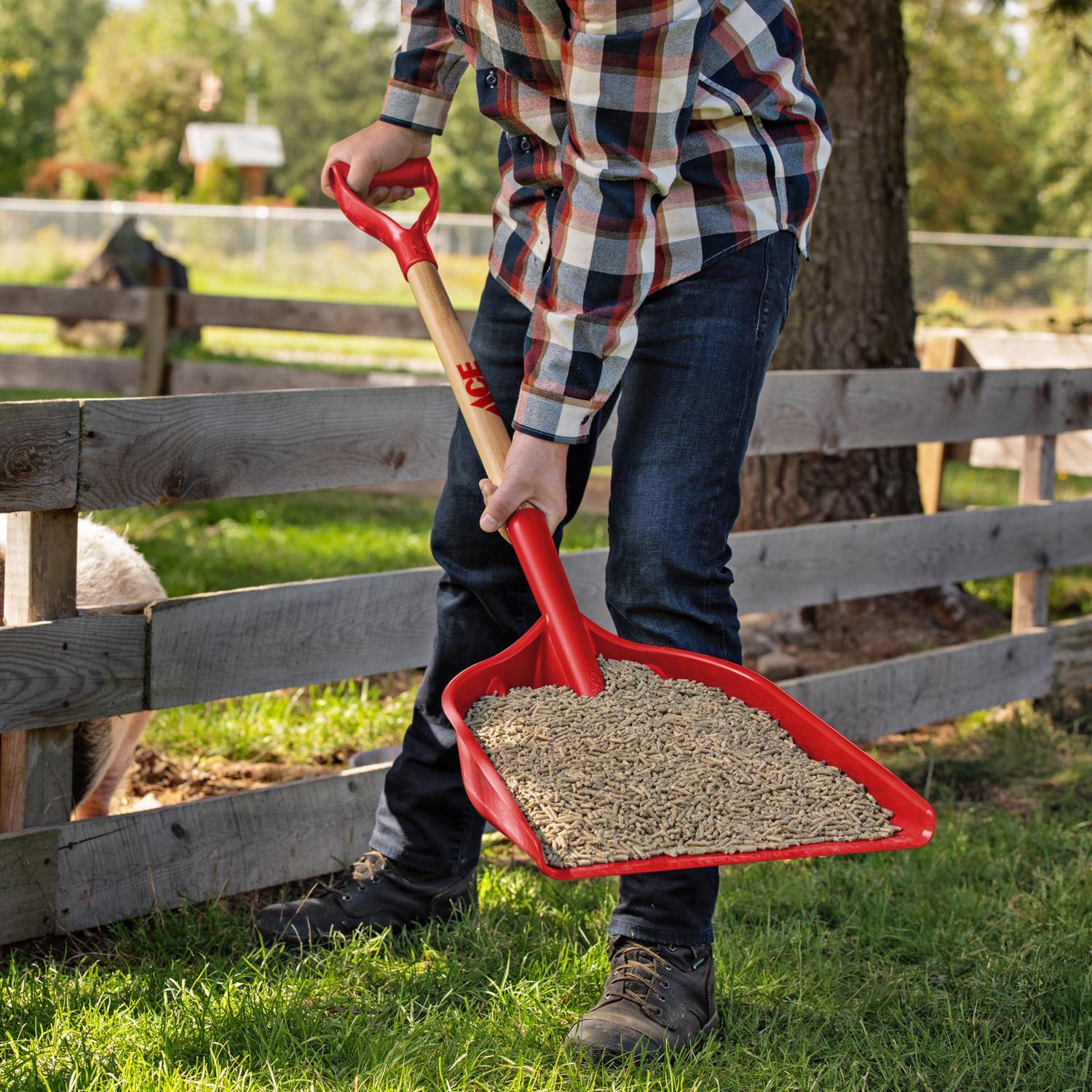 Ace Red Grain Scoop Mfr# SPG12DAC - Ace Hardware