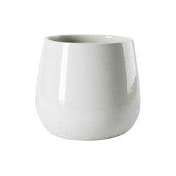 Syndicate Sales 5.25 in. H X 5.5 in. W Ceramic Garden Planter White