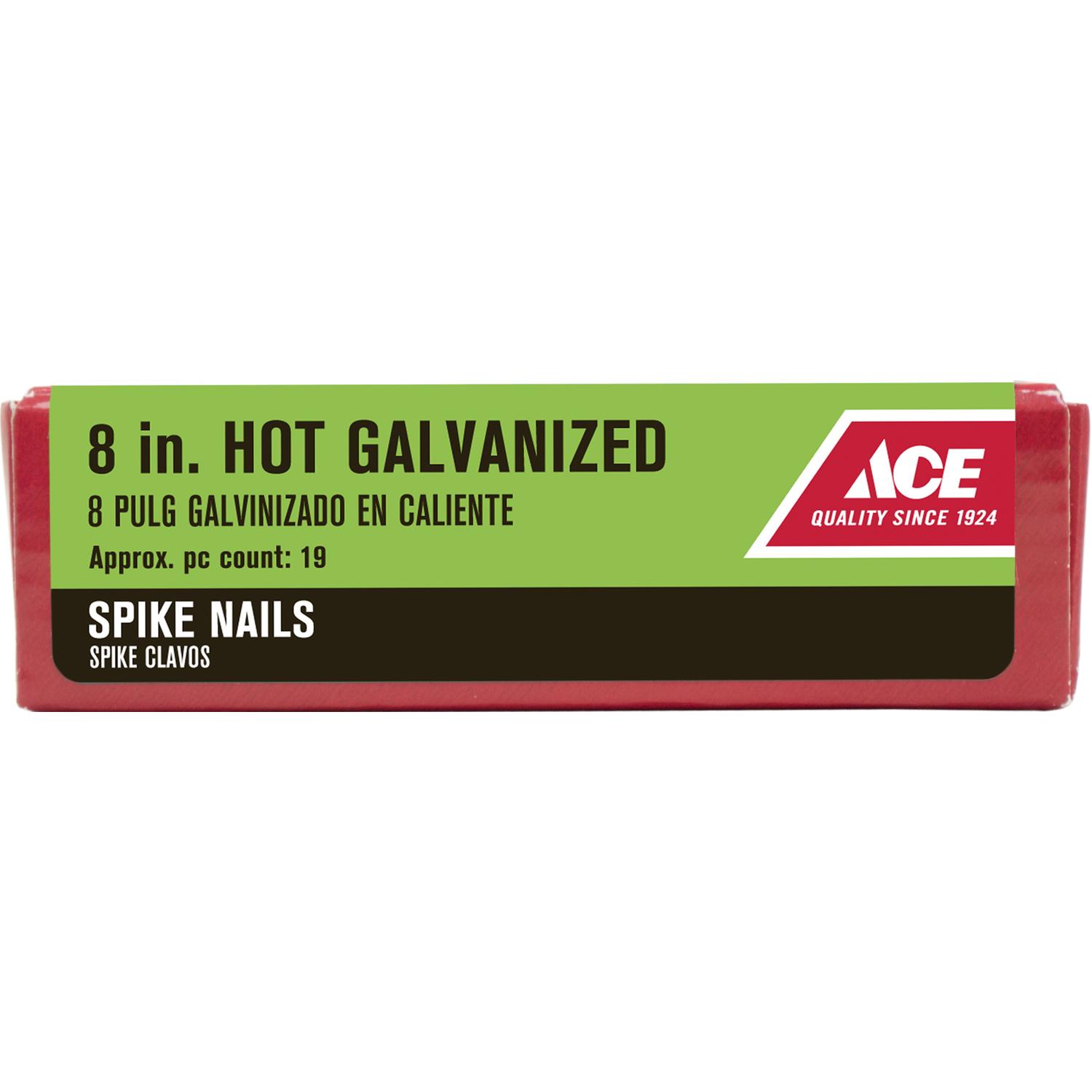 Ace 8 in. Spike Hot-Dipped Galvanized Steel Nail Diamond Head 5 lb