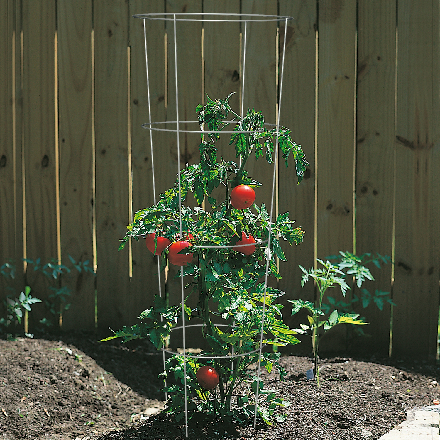ICD トマトロジーパーストペッケージ Panacea 54 in. H X 16 in. W Gray Steel Tomato Cage Mfr# 89726