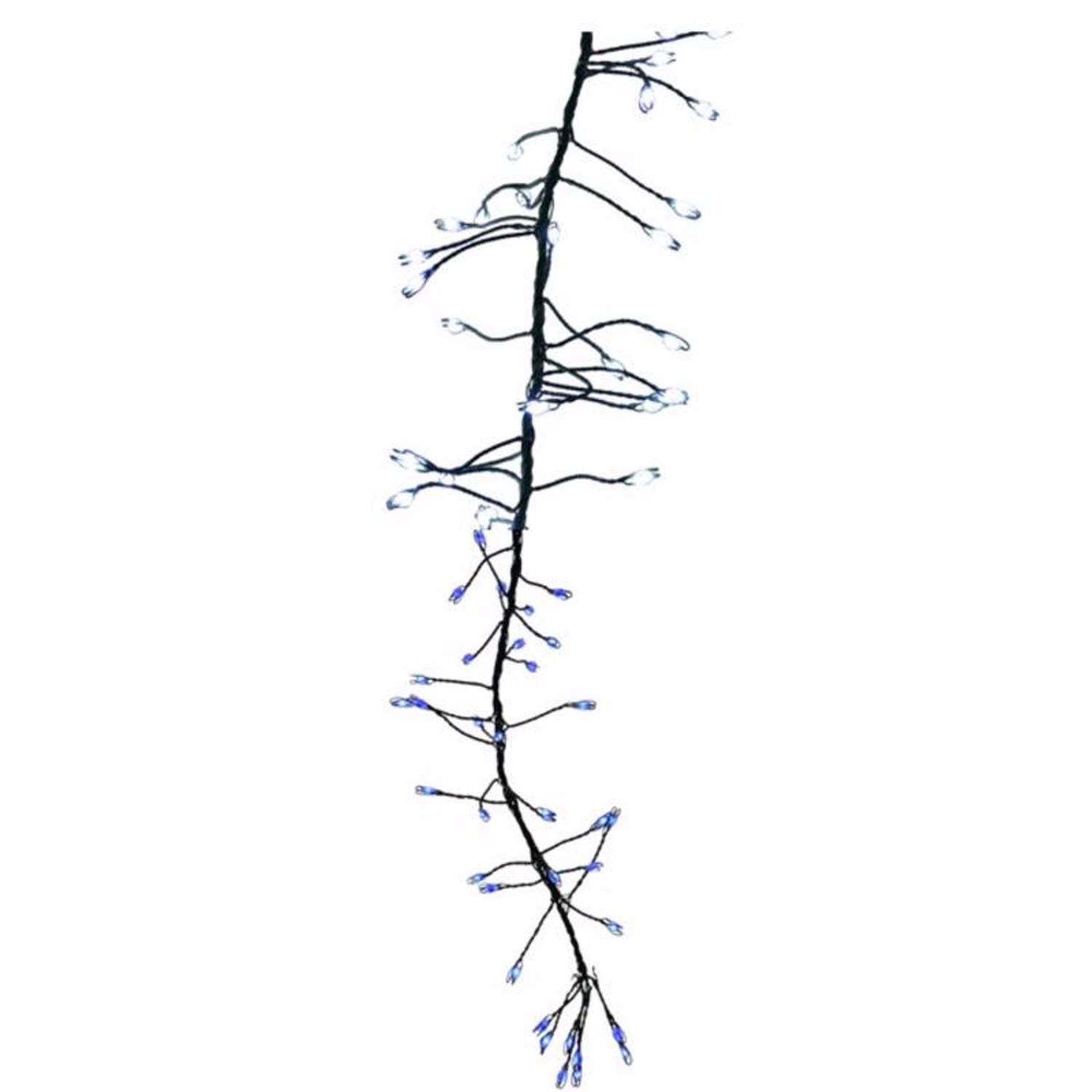 9107898 LED Big Seed Cluster Blue & Pure White 250 Count Christmas Lights, 10 ft.