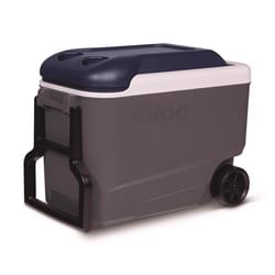 Igloo MaxCold Gray 40 qt Roller Cooler