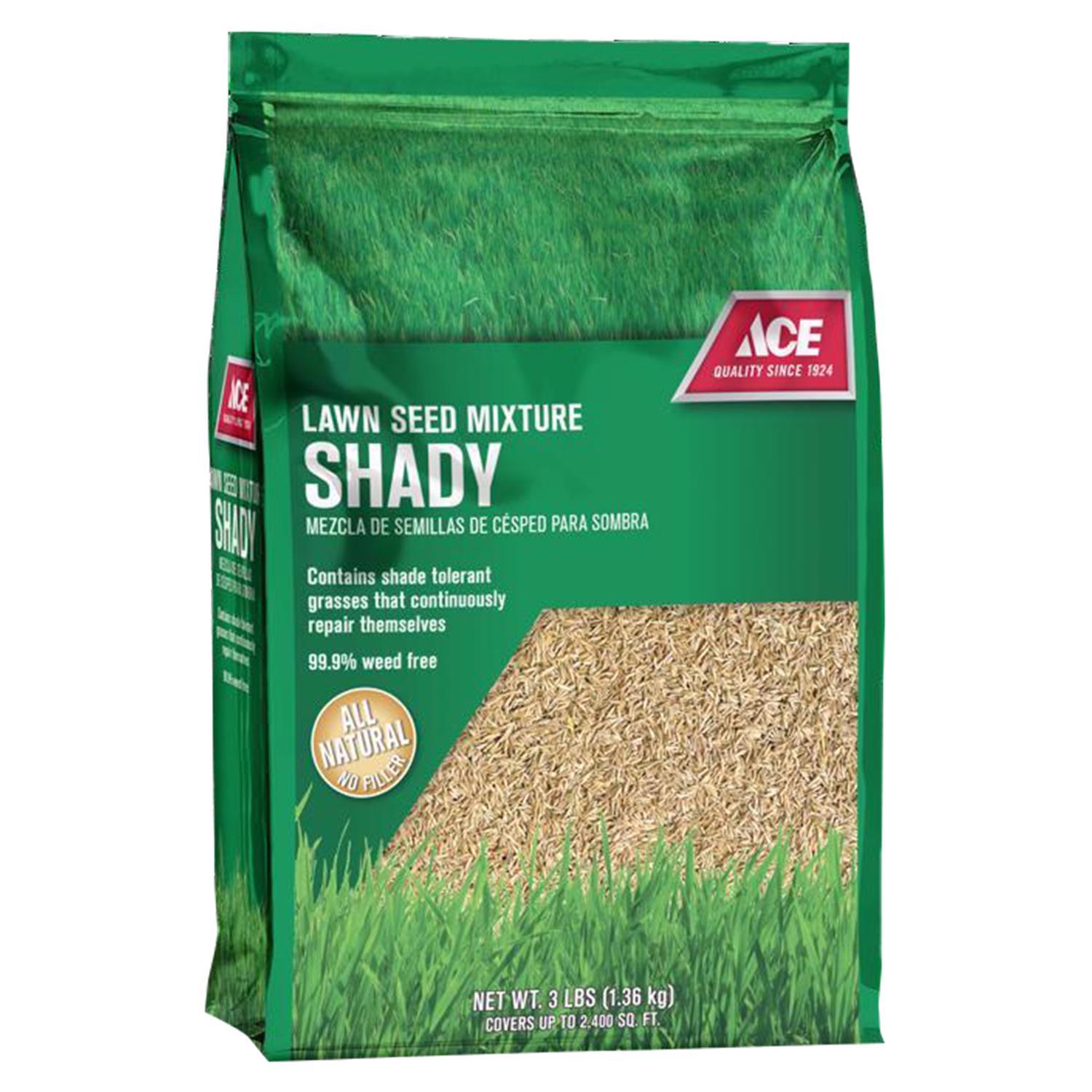 Ace Mixed Full Shade Grass Seed Mix - 3 lb Bag Mfr# N71380 - Ace