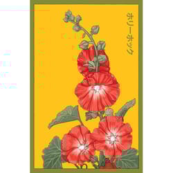 Chive Shido Seed Co. Hollyhock Seeds 1 pk