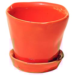 Chive Tika 3 in. D Ceramic Succulent Pot Orange