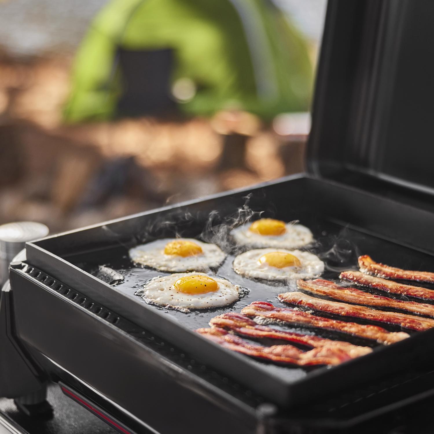 Weber Traveler 17
