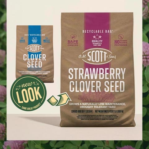 O.M. Scott & Sons Clover Grass Mix Sun or Shade Fertilizer/Seed