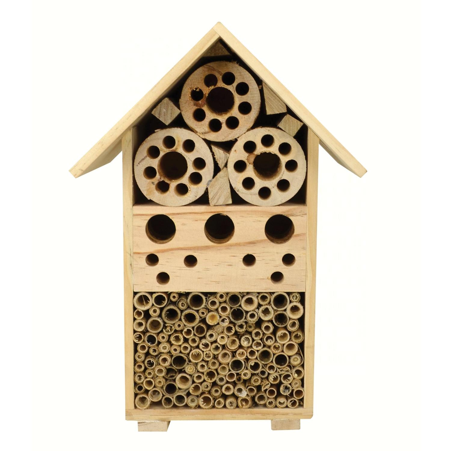 Songbird Essentials Insect House