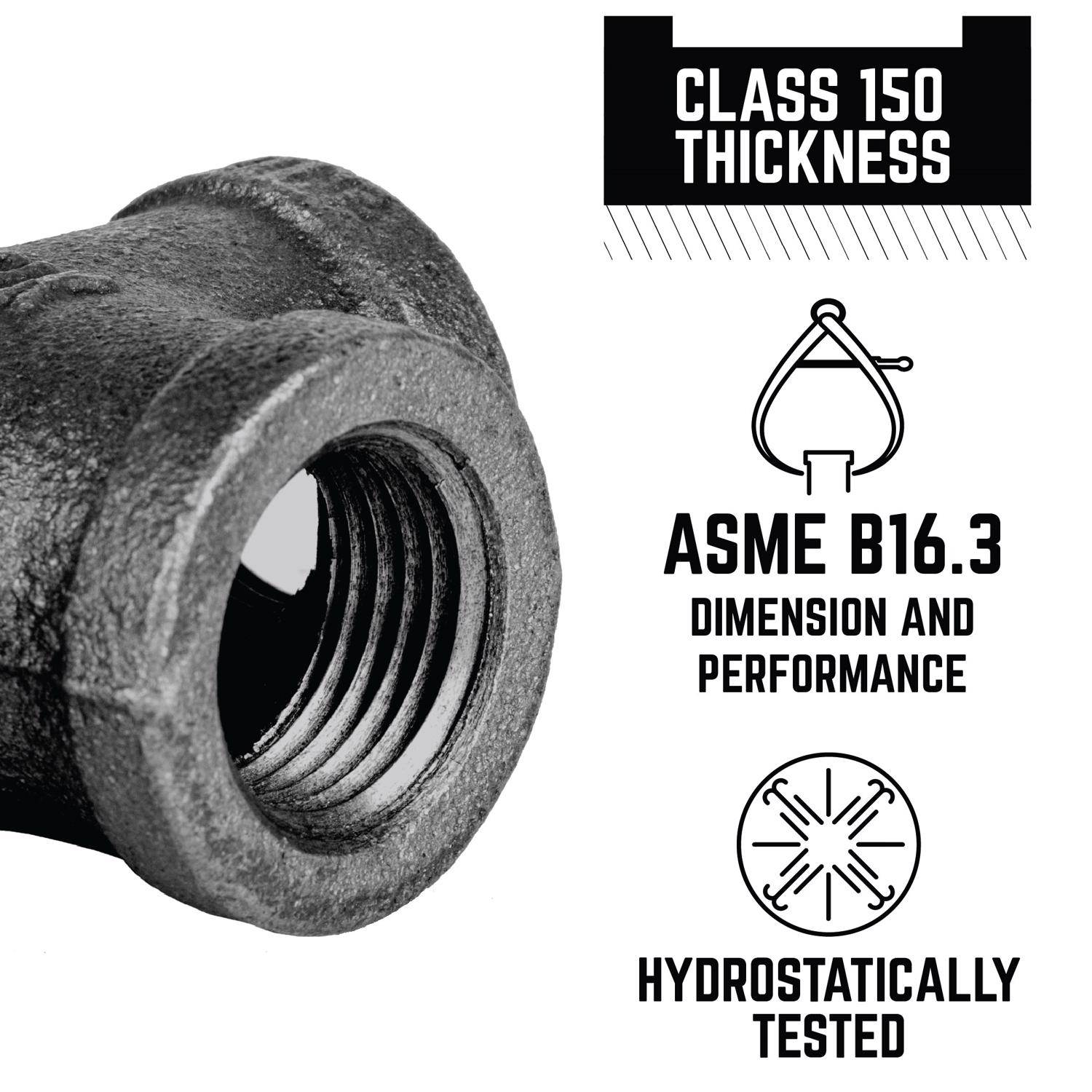 STZ Industries 3/4 in. FIP each Black Malleable Iron Cap Mfr