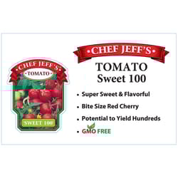 Chef Jeff Red Standard Sweet 100 Tomato Vegetable Plant