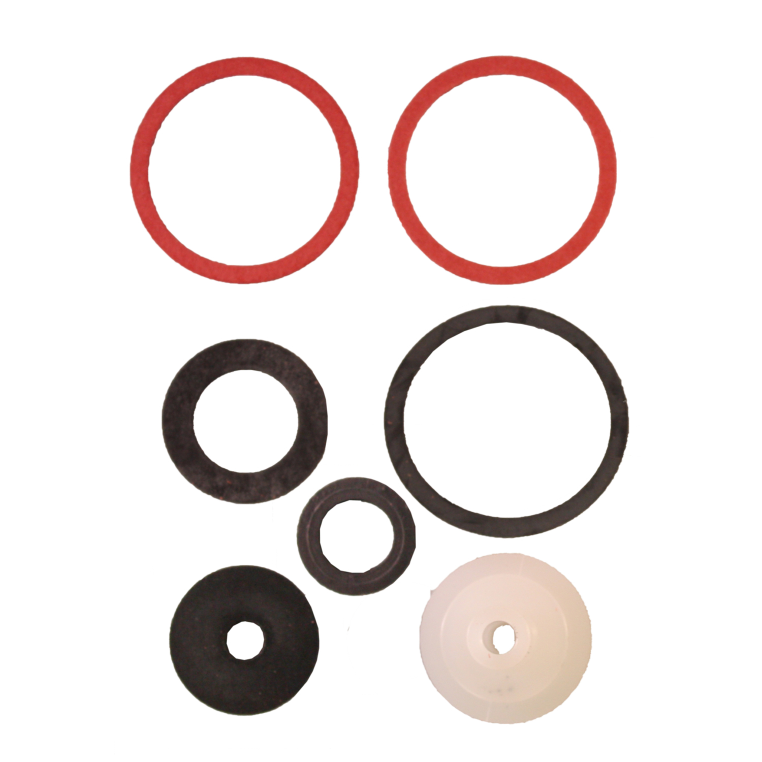 7024227 1 in. Champion Valve Rebuild Kit