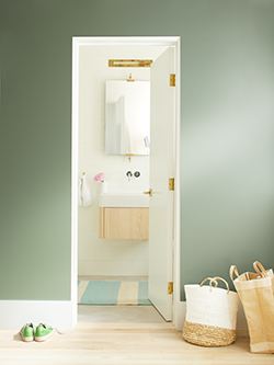 Benjamin Moore Regal Select Flat White Dove Water-Based Paint +