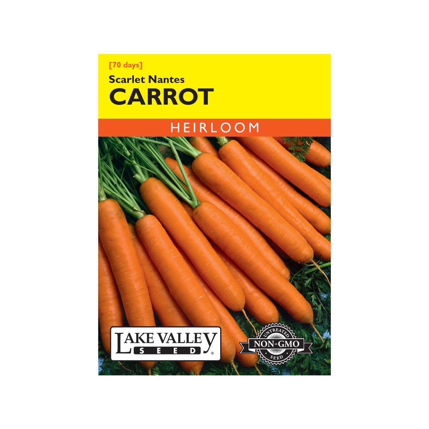 Lake Valley Seed Carrot Seeds Mfr# 73 - Ace Hardware