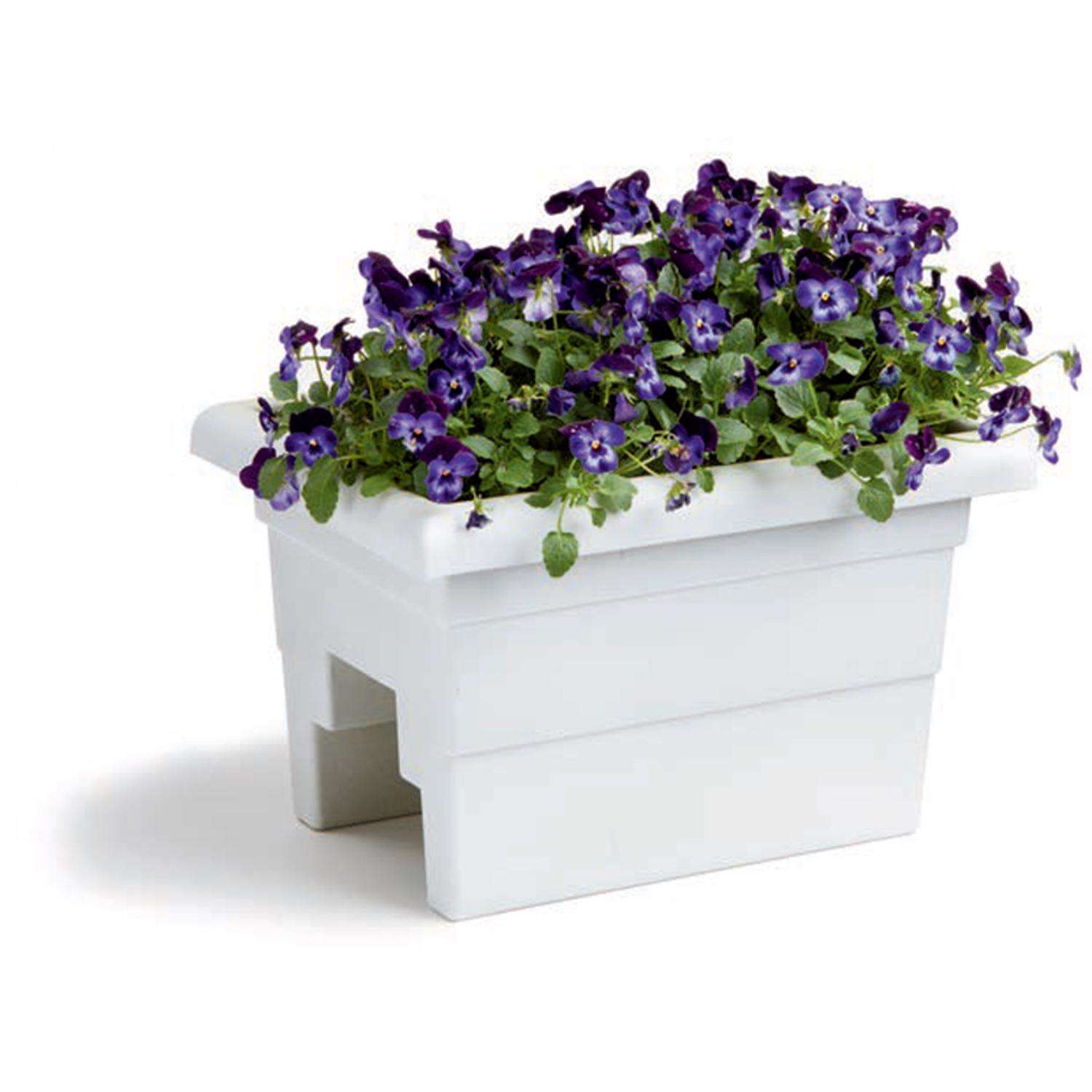image-2