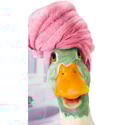 Avanti Seasonal Duck Facial Mother's Day Card Paper 2 pc