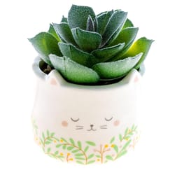 Karma 2 in. H X 2 in. L Multicolored Ceramic Succulent Pot
