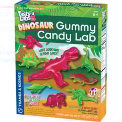 Thames & Kosmos Dinosaur Berry/Watermelon Gummi Candy 5.5 oz