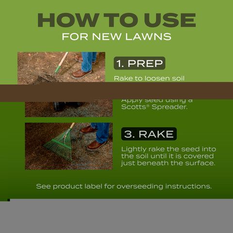 Scotts Turf Builder Tall Fescue Grass Sun or Shade Fertilizer/Seed
