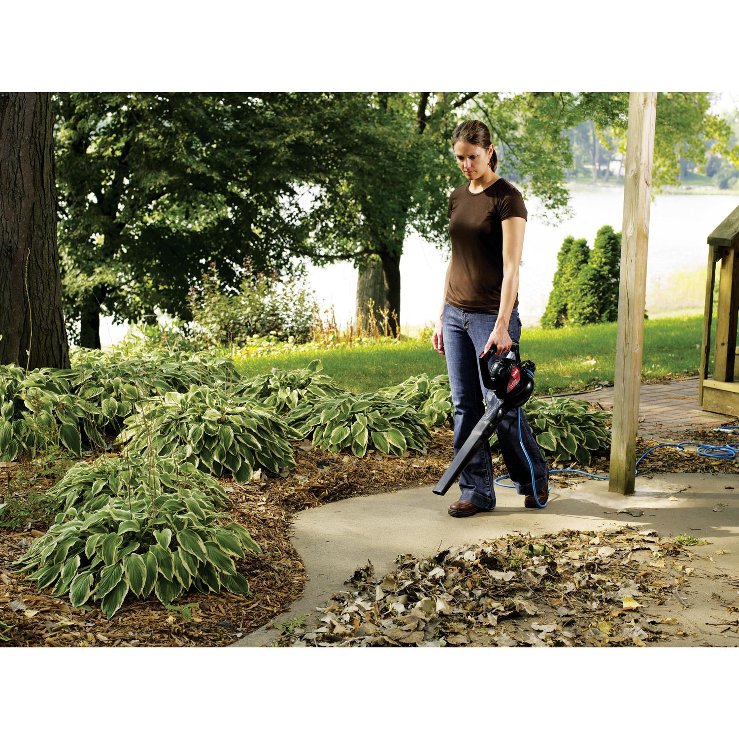 6e15b101-4044-454c-be91-