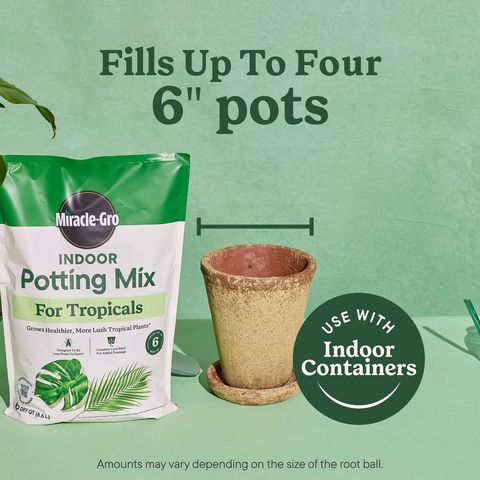 Miracle-Gro Tropical Cacti, Citrus and Palm Potting Mix 6 qt Mfr