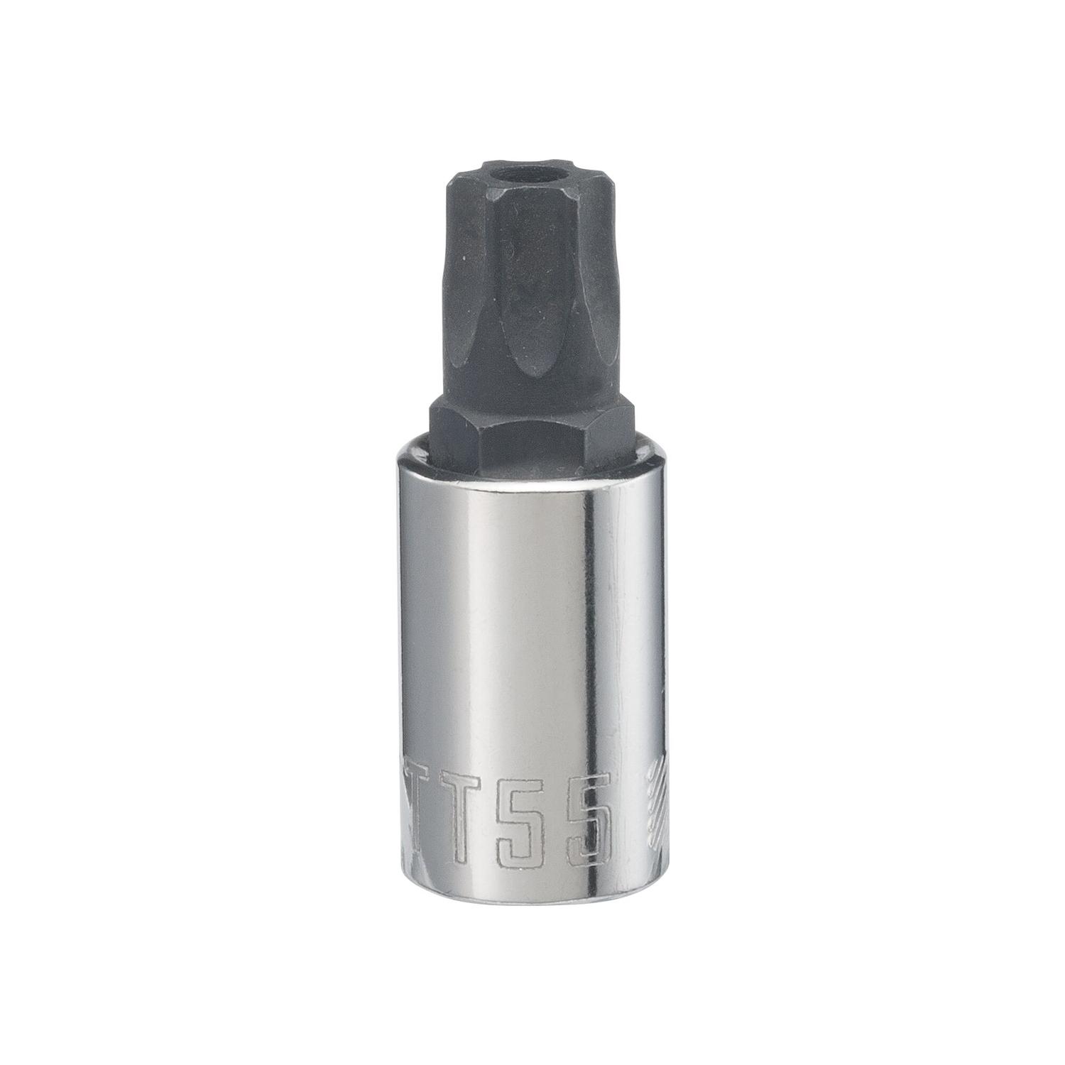 Craftsman T55 X 3/8 in. drive Metric and SAE 6 Point Torx Bit