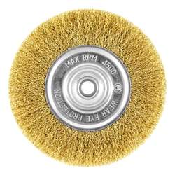 Stay Sharp 6 in. Coarse Crimped Wire Wheel Brush Brass 1 pc