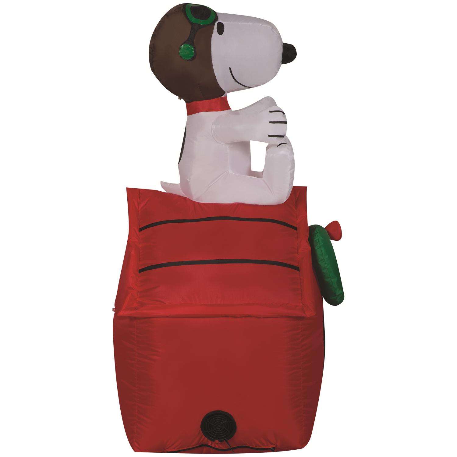 image-5