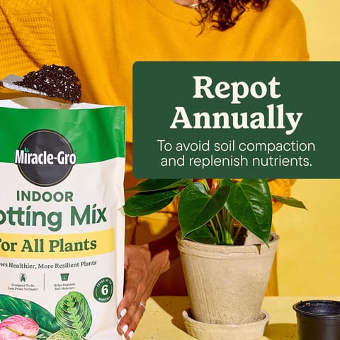 Miracle-Gro Indoor Plant Potting Soil 6 qt Mfr# 72776893 - Ace
