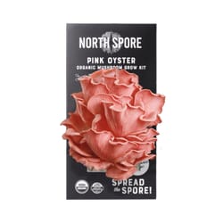 North Spore Spray & Grow Pink Oyster Mushroom Vegetable Plant