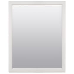 Zenna Home 25 in. H X 20 in. W Bathroom Mirror Matte White