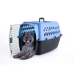 Aspen Pet Pet Porter Medium Plastic Pet Kennel Multicolored 18.6 in. H X 16.5 in. W X 26.2 in. D
