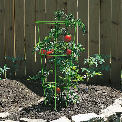 Panacea Vibrant 42 in. H X 16 in. W Green Steel Tomato Cage