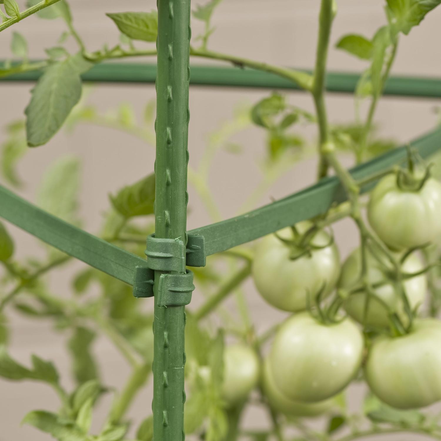 Gardener's Blue Ribbon Steel Tomato Cage - Thumbnail 2
