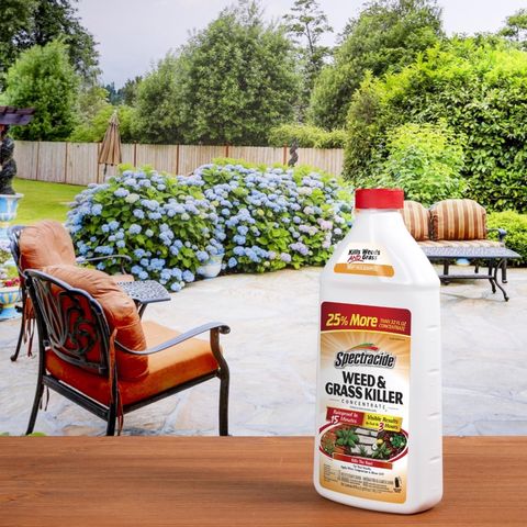 Spectracide Weed and Grass Killer Concentrate 40 oz Mfr# HG-56009