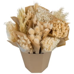 Dutch Flower House Mono White Mix Bouquet Dried Flowers