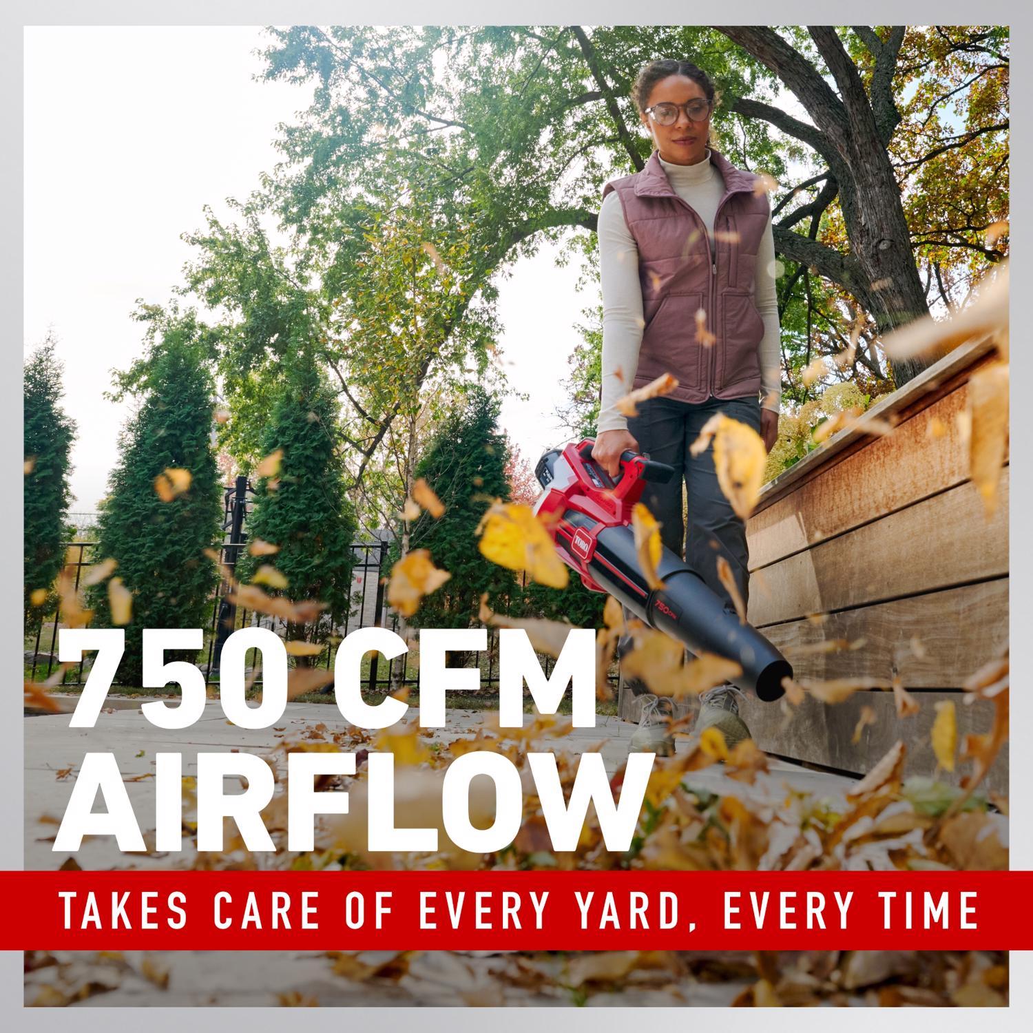 Toro 51826 Blower - Thumbnail 4