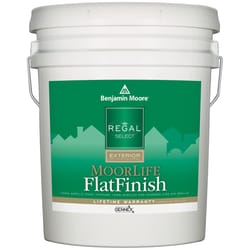 Benjamin Moore Regal Select Flat Tintable Base Base 2 Paint Exterior 5 gal