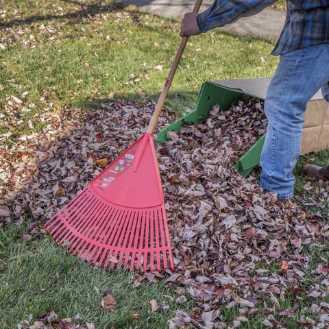 Ace 65 in. 26 Tine Poly Leaf Rake Wood Handle Mfr# EP-26-ACE - Ace