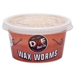 DMF Bait Wax Worms Fishing Bait