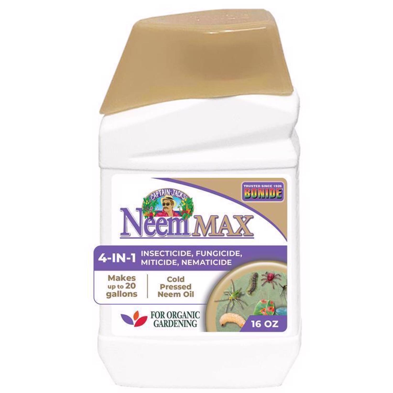 orchid potting mix recipe Jewel Orchid Potting Mix  QuarterAcreOrchids