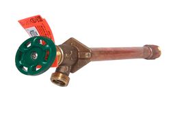 Arrowhead 3/4 in. MHT 3/4 in. MIP Anti-Siphon Brass Wall Hydrant
