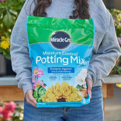 Miracle-Gro Moisture Control Flower and Plant Potting Mix 8 qt Mfr